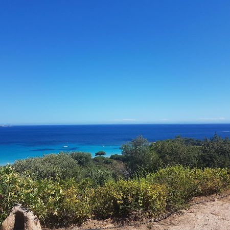 Maison Sur Palombaggia Porto-Vecchio  Eksteriør billede