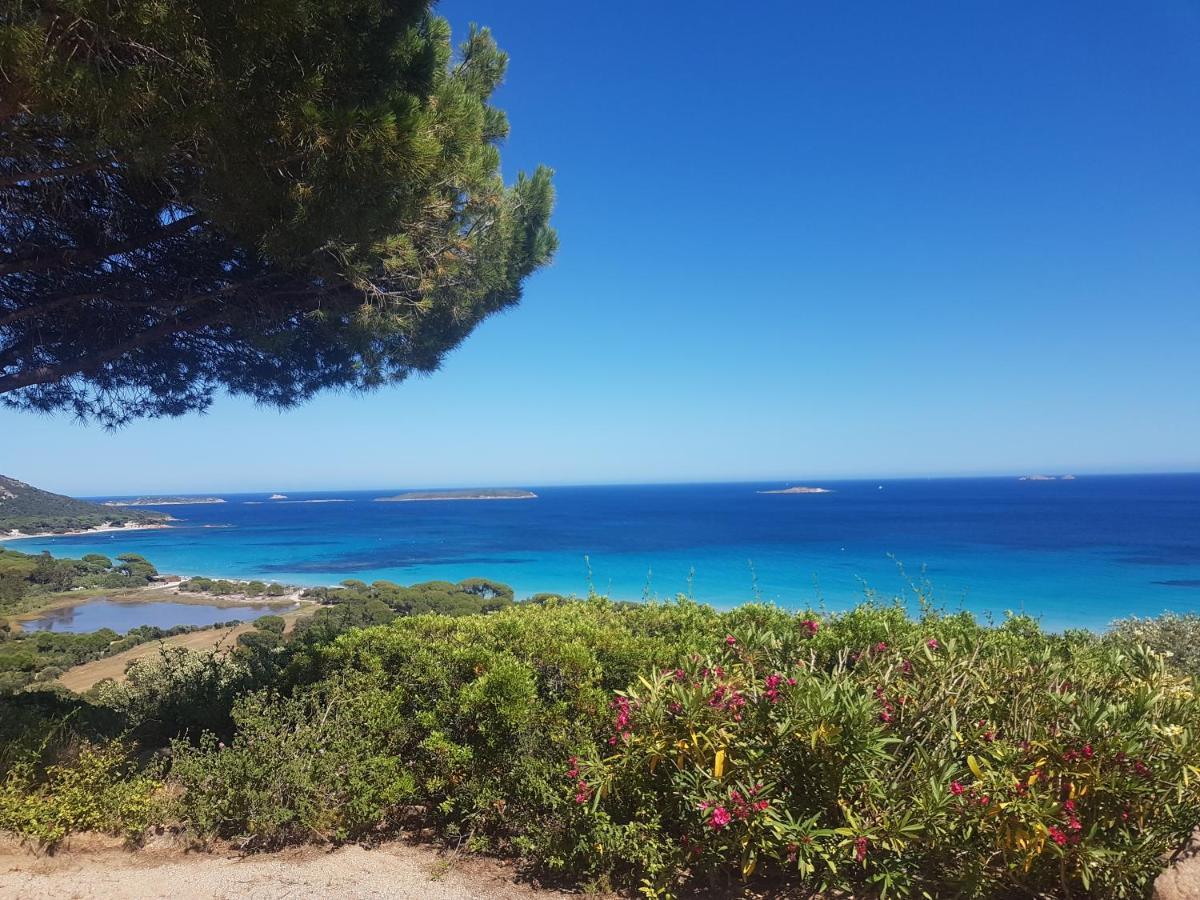 Maison Sur Palombaggia Porto-Vecchio  Eksteriør billede