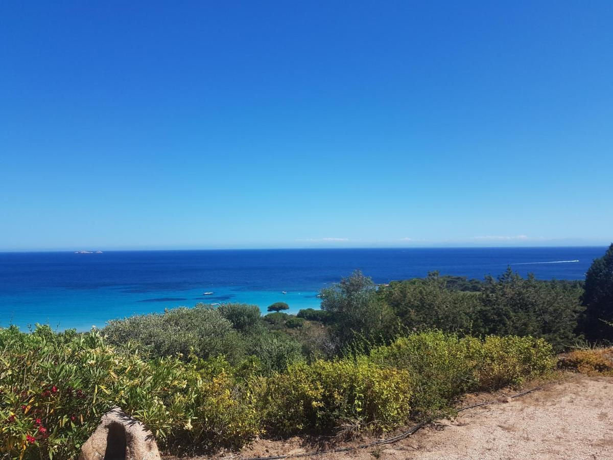 Maison Sur Palombaggia Porto-Vecchio  Eksteriør billede