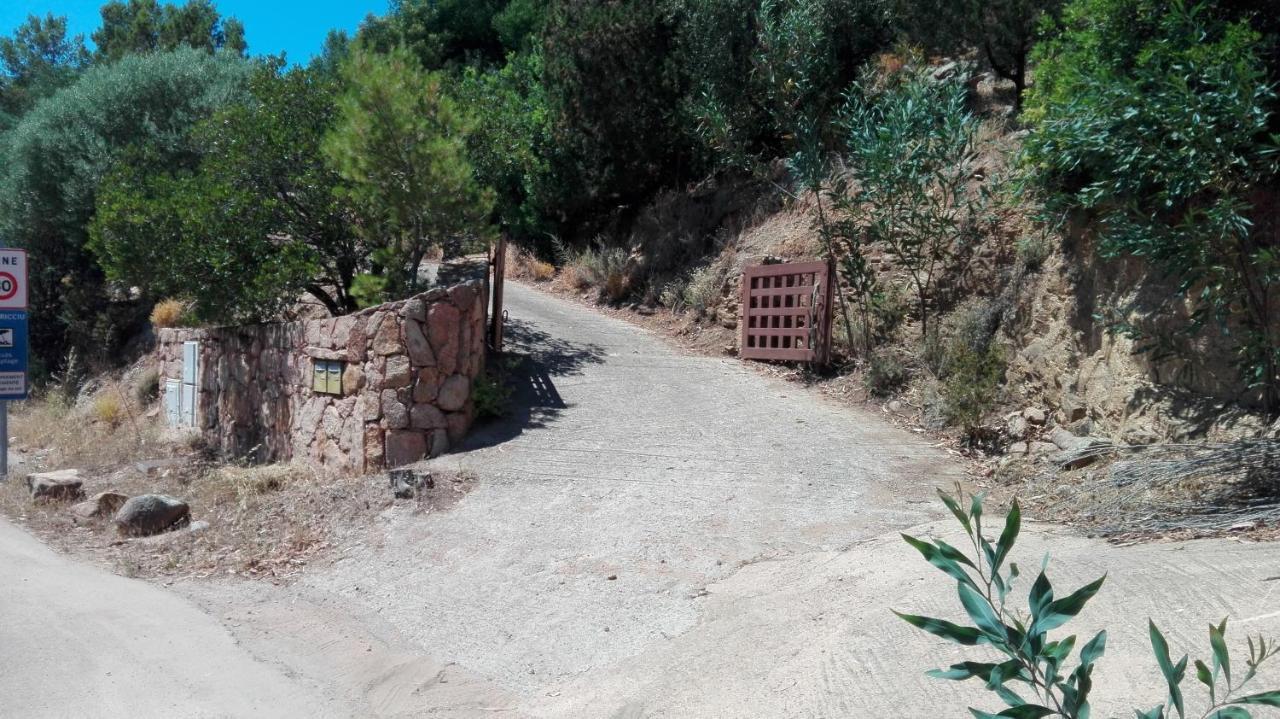 Maison Sur Palombaggia Porto-Vecchio  Eksteriør billede